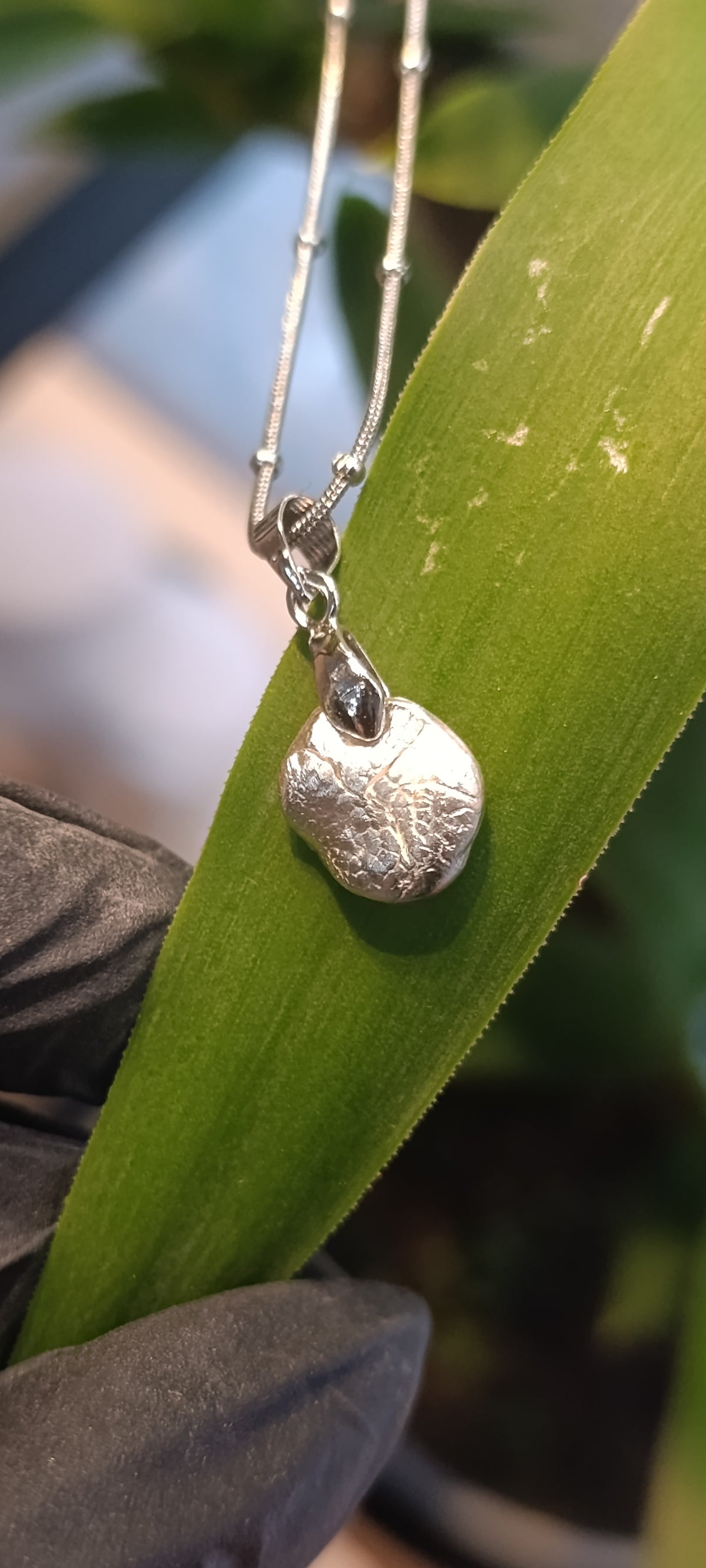 Huella animal en Plata